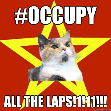 #occupy all the laps!1!11!!!  Lenin Cat