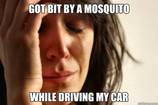 Got Bit By a Mosquito while driving my car  First World Problems