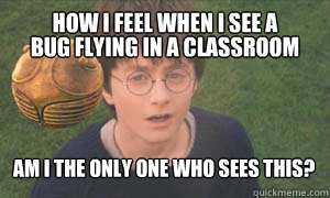 How I feel when i see a  bug flying in a classroom am i the only one who sees this?  Harry potter