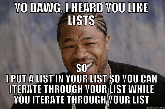 YO DAWG, I HEARD YOU LIKE LISTS SO I PUT A LIST IN YOUR LIST SO YOU CAN ITERATE THROUGH YOUR LIST WHILE YOU ITERATE THROUGH YOUR LIST Xzibit meme
