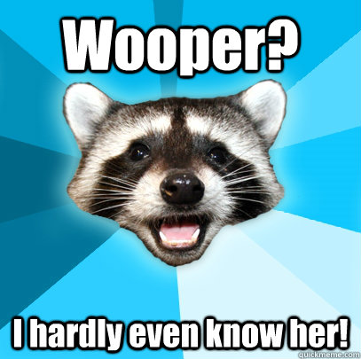 Wooper? I hardly even know her!  Lame Pun Coon