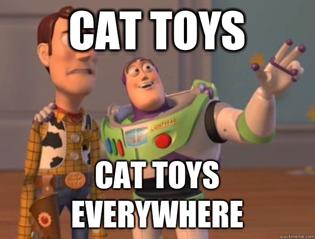 Cat toys Cat toys everywhere   Buzz Lightyear