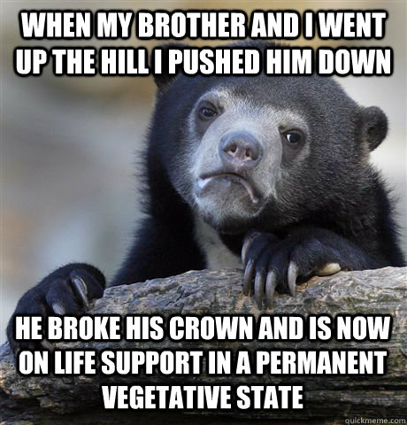 When my brother and i went up the hill i pushed him down he broke his crown and is now on life support in a permanent vegetative state  Confession Bear