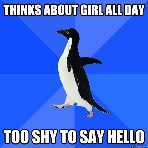 thinks about girl all day too shy to say hello  Socially Awkward Penguin