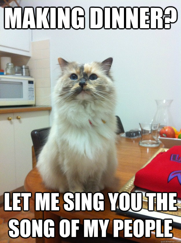 MAKING DINNER? LET ME SING YOU THE SONG OF MY PEOPLE - MAKING DINNER? LET ME SING YOU THE SONG OF MY PEOPLE  Every night