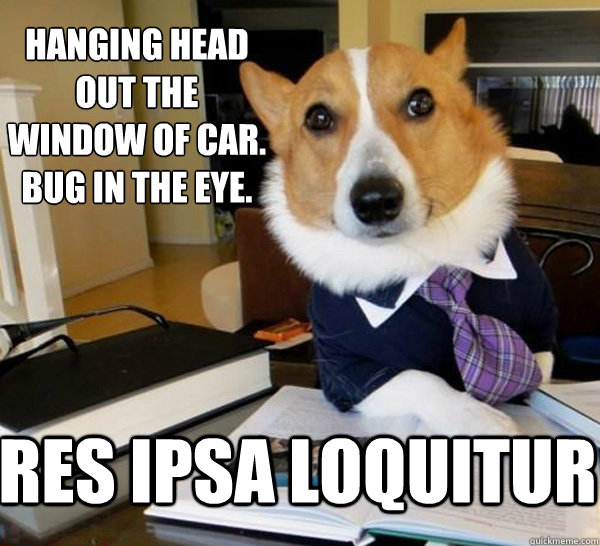 Hanging head out the window of car.
Bug in the eye. Res ipsa loquitur  Lawyer Dog