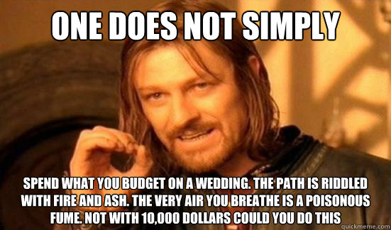 One Does Not Simply spend what you budget on a wedding. the path is riddled with fire and ash. the very air you breathe is a poisonous fume. Not with 10,000 dollars could you do this  Boromir