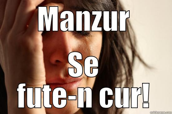 MANZUR SE FUTE-N CUR! First World Problems