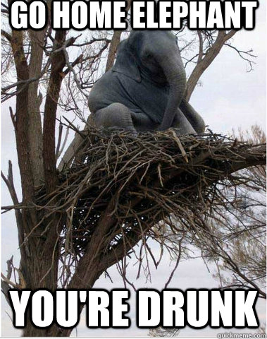 Go Home elephant you're drunk  Flying Elephant