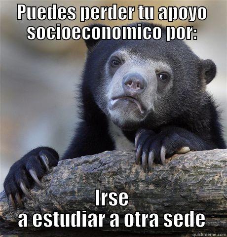 PUEDES PERDER TU APOYO SOCIOECONOMICO POR: IRSE A ESTUDIAR A OTRA SEDE Confession Bear