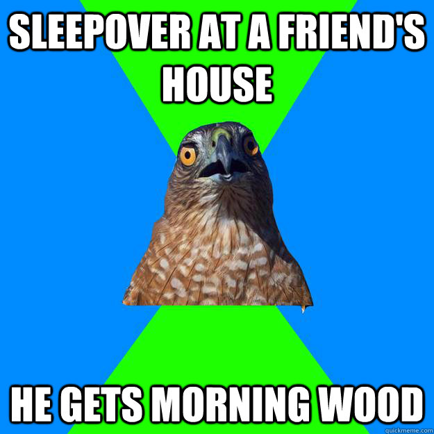 Sleepover at a friend's house he gets morning wood  Hawkward