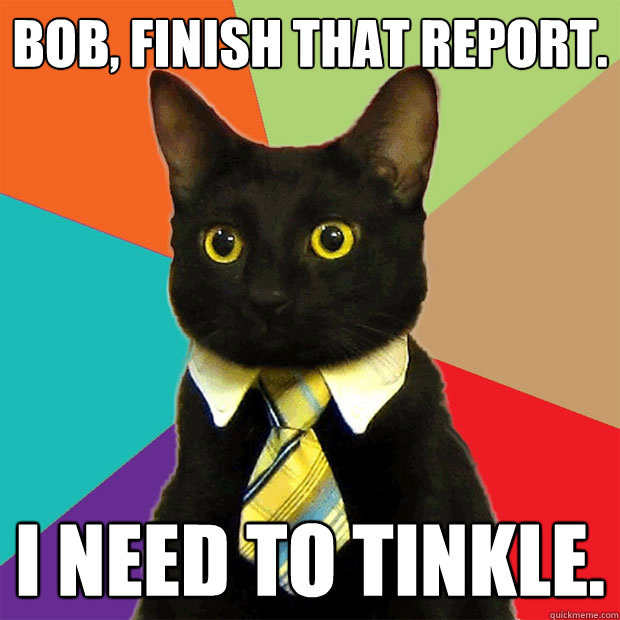 Bob, finish that report. I need to tinkle. - Bob, finish that report. I need to tinkle.  Business Cat