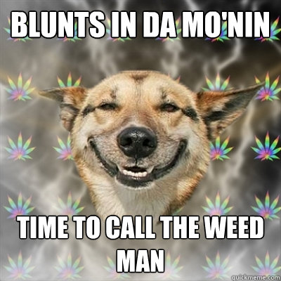 Blunts in da mo'nin time to call the weed man  Stoner Dog