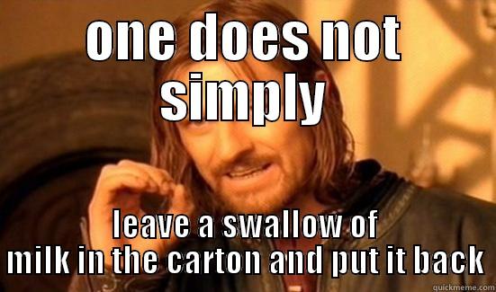 ONE DOES NOT SIMPLY LEAVE A SWALLOW OF MILK IN THE CARTON AND PUT IT BACK Boromir