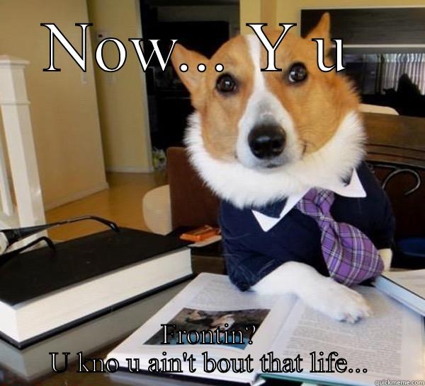 NOW... Y U  FRONTIN? U KNO U AIN'T BOUT THAT LIFE... Lawyer Dog