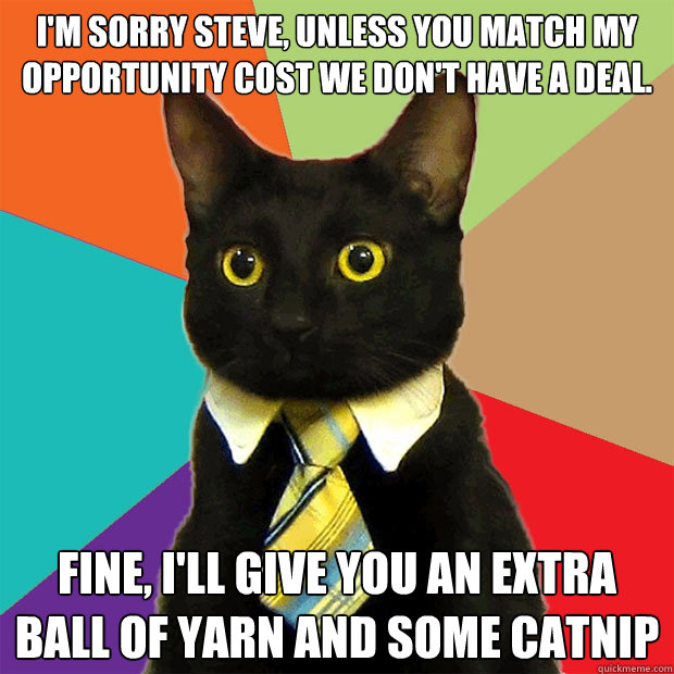 I'm sorry Steve, unless you match my opportunity cost we don't have a deal. Fine, I'll give you an extra ball of yarn and some catnip  Business Cat