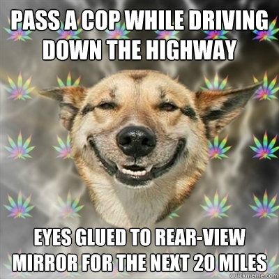 pass a cop while driving down the highway eyes glued to rear-view mirror for the next 20 miles  Stoner Dog