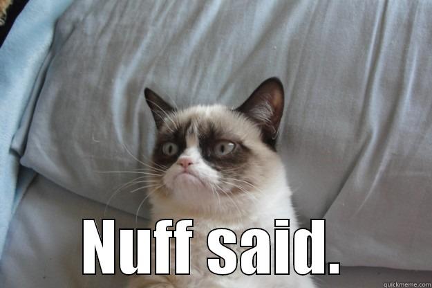  NUFF SAID. Grumpy Cat