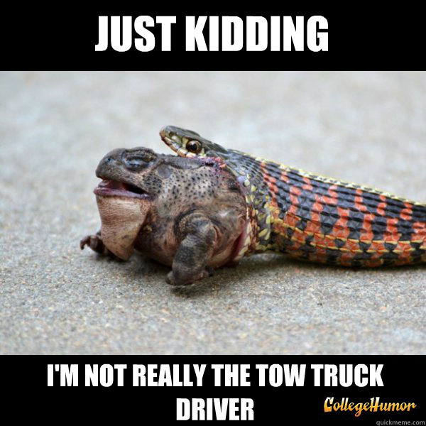 Just kidding I'm not really the tow truck driver - Just kidding I'm not really the tow truck driver  Keep calm and let the snake carry on