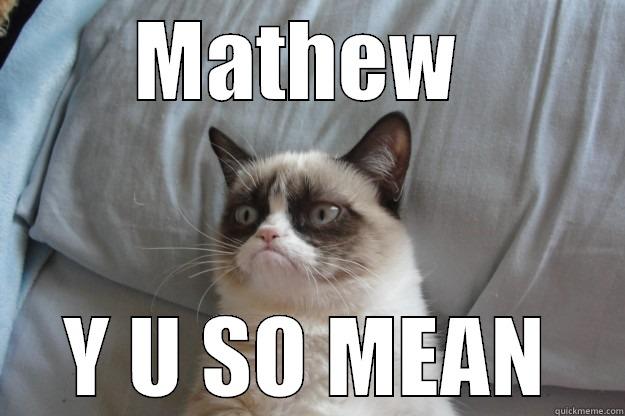 MATHEW  Y U SO MEAN Grumpy Cat