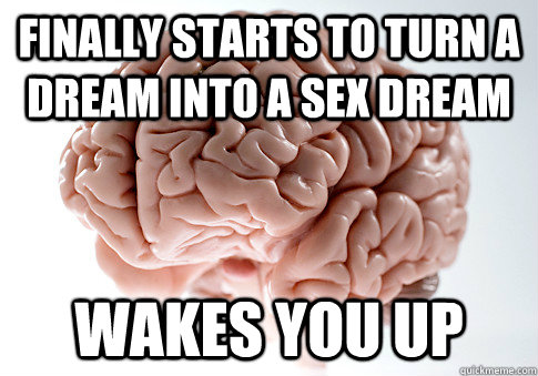 Finally starts to turn a dream into a sex dream wakes you up    Scumbag Brain