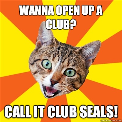 Wanna open up a club? Call it Club Seals!  Bad Advice Cat