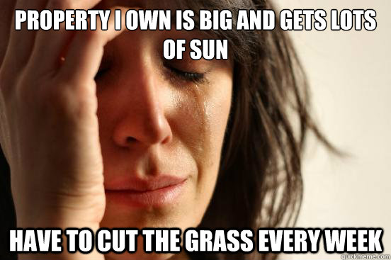 property i own is big and gets lots of sun have to cut the grass every week  First World Problems