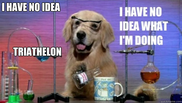 triathelon i have no idea what i'm doing  science dog