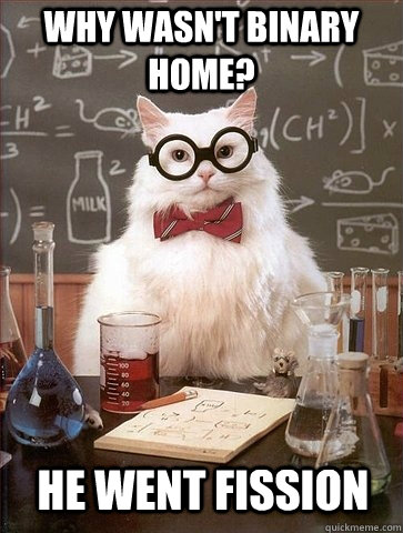 Why wasn't binary home? He went fission  Chemistry Cat