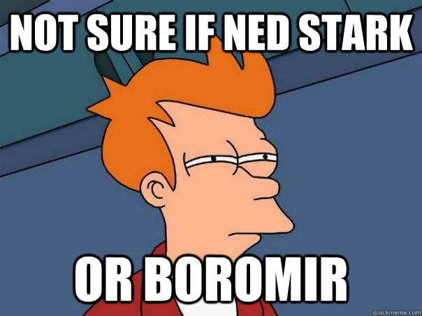 not sure if ned stark or boromir  Futurama Fry