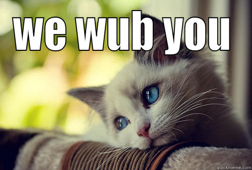 WE WUB YOU  First World Problems Cat