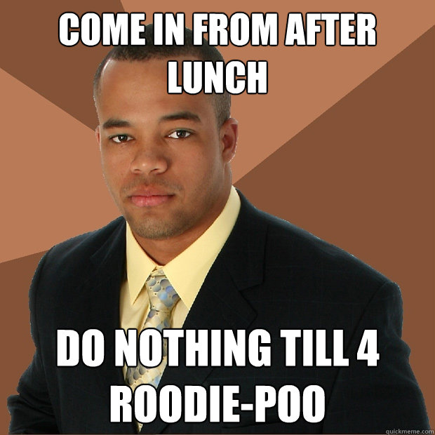 come in from after lunch
 do nothing till 4
roodie-poo - come in from after lunch
 do nothing till 4
roodie-poo  Successful Black Man