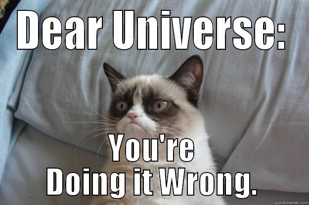 Doing it Wrong, Universe - DEAR UNIVERSE: YOU'RE DOING IT WRONG. Grumpy Cat