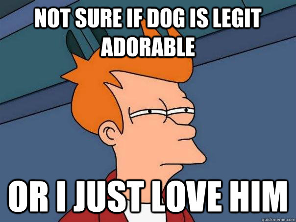 Not sure if Dog is legit adorable  Or I just love him - Not sure if Dog is legit adorable  Or I just love him  Futurama Fry