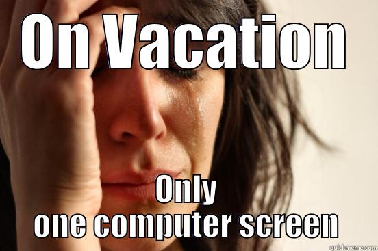 ON VACATION ONLY ONE COMPUTER SCREEN First World Problems