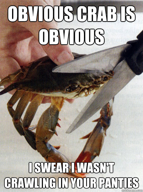 Obvious crab is obvious I swear I wasn't crawling in your panties  Optimistic Crab