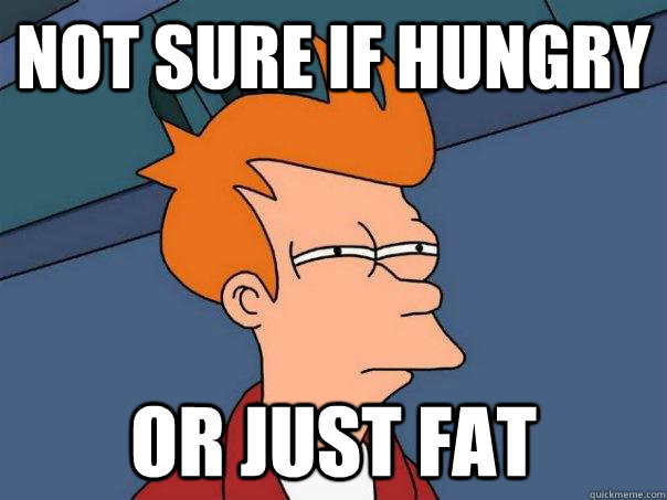 not sure if hungry or just fat  Futurama Fry