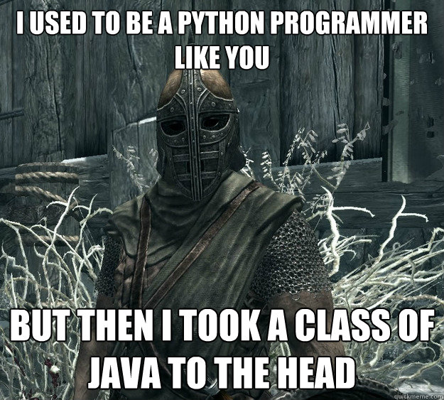 I USED TO BE A PYTHON PROGRAMMER LIKE YOU BUT THEN I TOOK A CLASS OF JAVA TO THE HEAD  Skyrim Guard