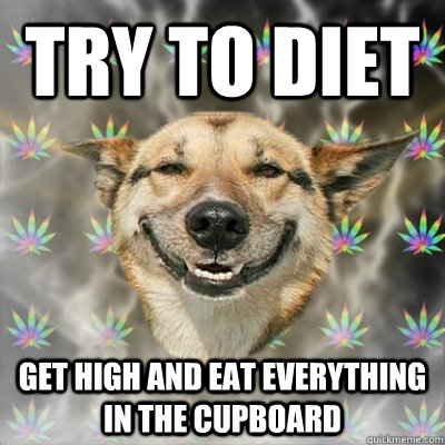 try to diet get high and eat everything in the cupboard  Stoner Dog