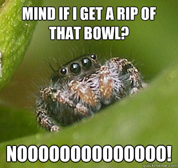 Mind if I get a rip of that bowl? noooooooooooooo!  Misunderstood Spider