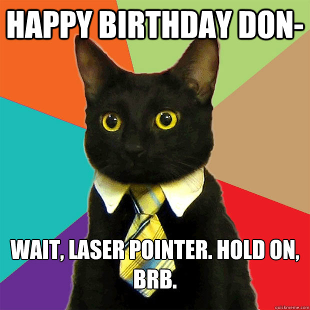 HAppy birthday Don- wait, laser pointer. Hold on, brb.  Business Cat