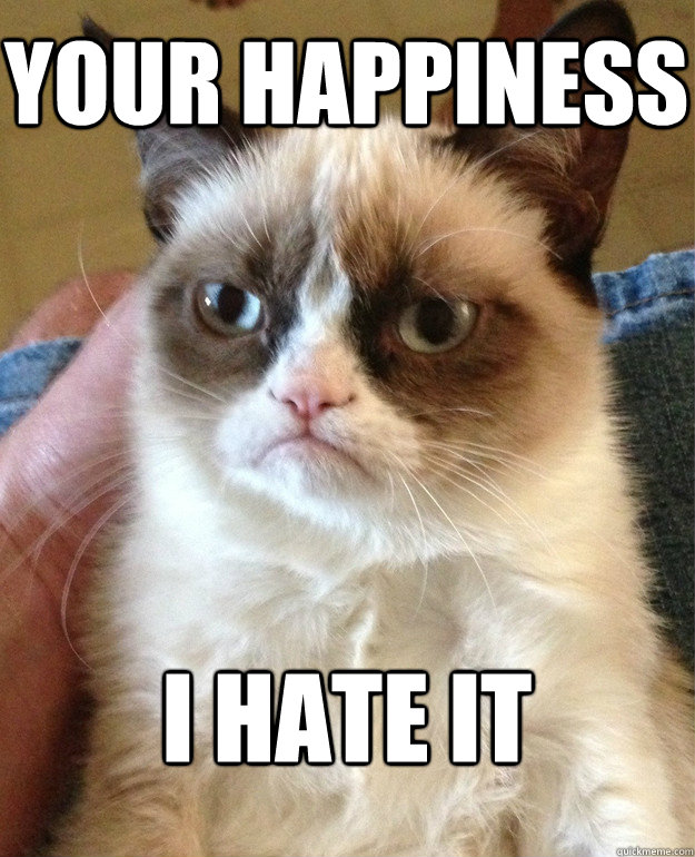 Your Happiness I hate it  Grumpy Cat