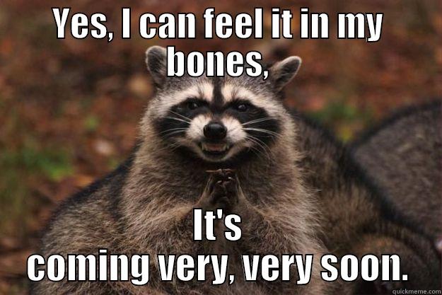 Come on... - YES, I CAN FEEL IT IN MY BONES, IT'S COMING VERY, VERY SOON. Evil Plotting Raccoon