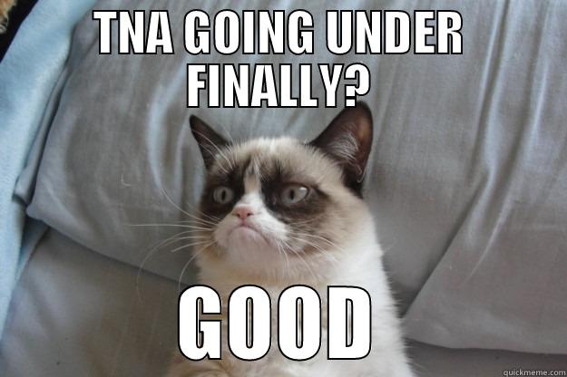 TNA GOING UNDER FINALLY? GOOD Grumpy Cat