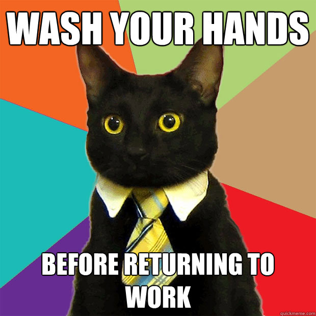 Wash your hands Before returning to work  Business Cat