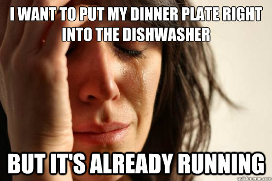 I want to put my dinner plate right into the dishwasher But it's already running - I want to put my dinner plate right into the dishwasher But it's already running  First World Problems