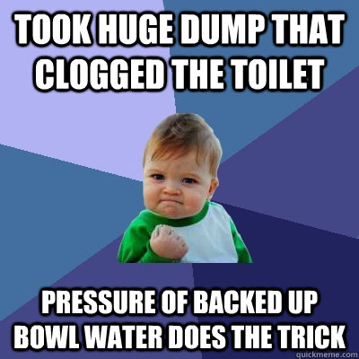 Took huge dump that clogged the toilet pressure of backed up bowl water does the trick  Success Kid