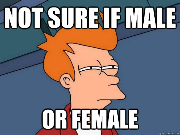 Not sure if male or female  - Not sure if male or female   Futurama Fry