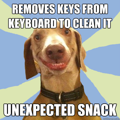 removes keys from keyboard to clean it unexpected snack  Disgusting Doggy