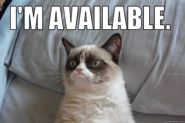 I'M AVAILABLE.  Grumpy Cat